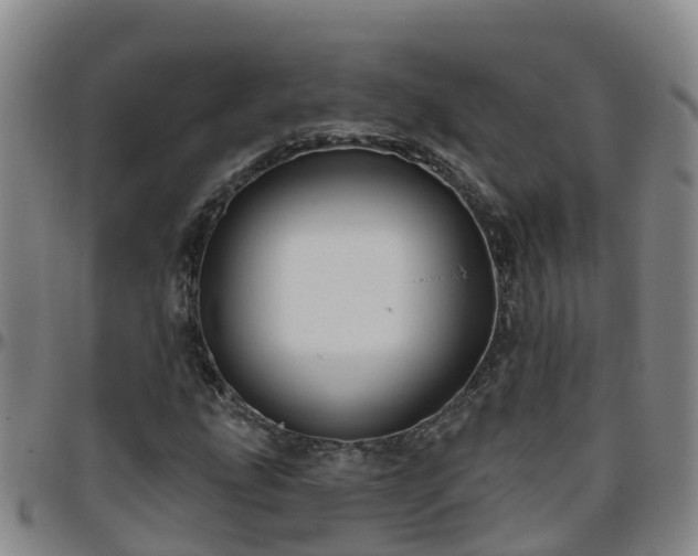 X0000096451207200801311443