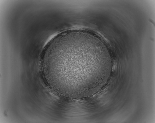X0000096451208200801311443
