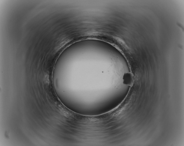 X0000096451209200801311443