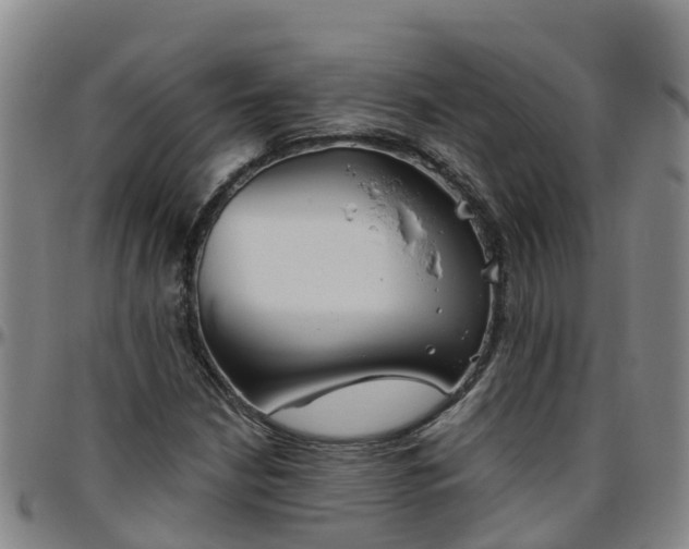 X0000096451210200801311443