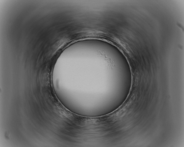 X0000096451211200801311443