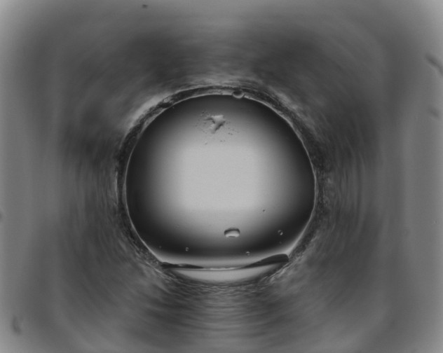 X0000096451214200801311443