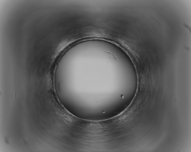 X0000096451215200801311443