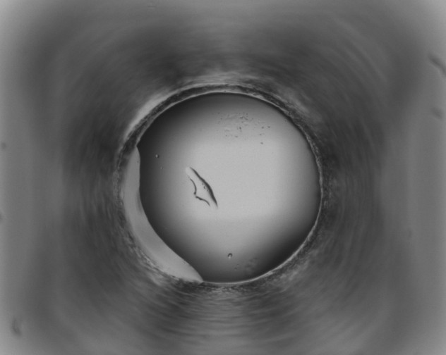 X0000096451216200801311443