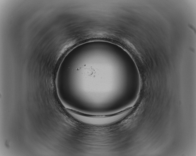 X0000096451218200801311443