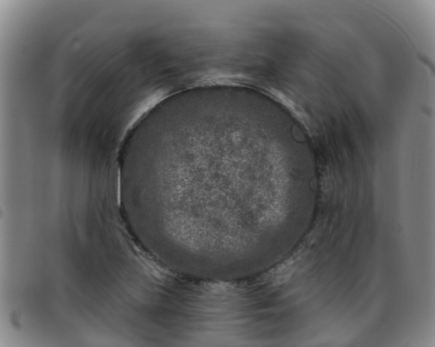 X0000096451219200801311443