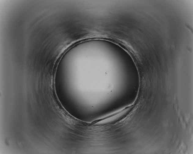 X0000096451220200801311443