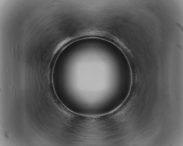 X0000096451222200801311443