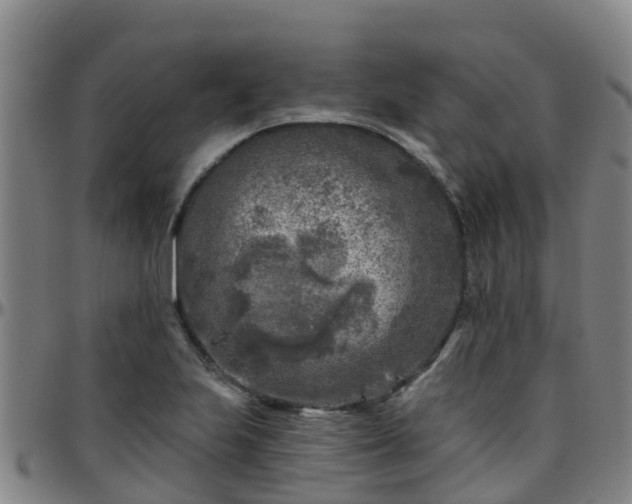 X0000096451223200801311443