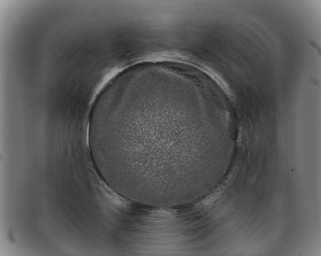 X0000096451224200801311443