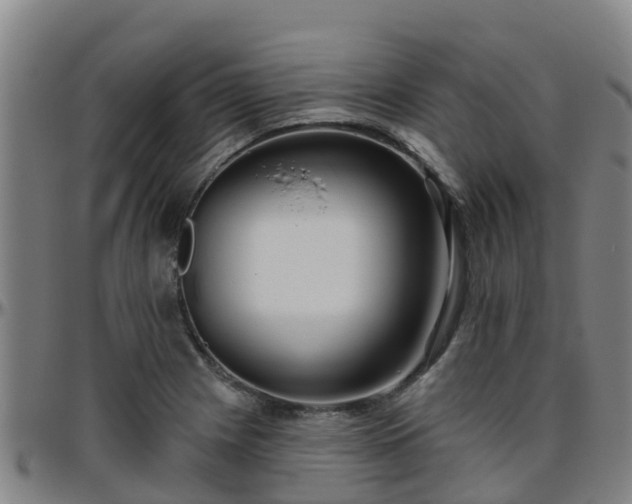 X0000096451225200801311443