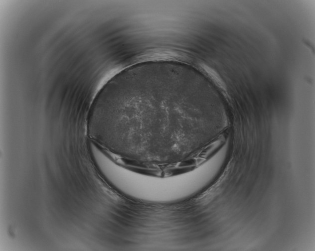 X0000096451226200801311443