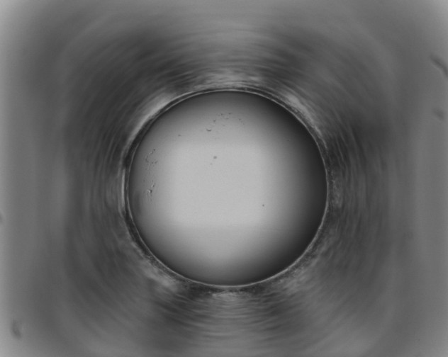 X0000096451227200801311443