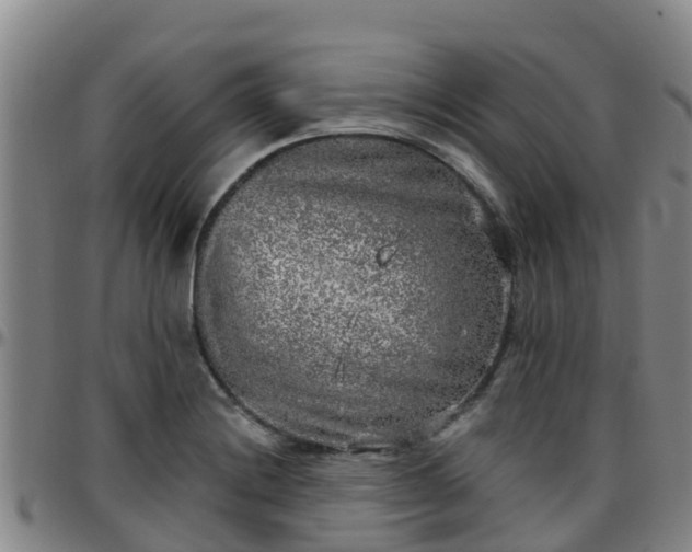 X0000096451228200801311443