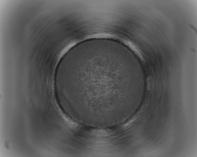 X0000096451229200801311443