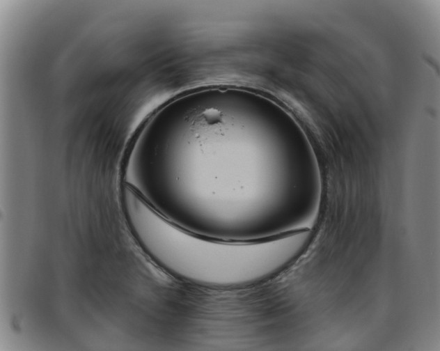 X0000096451230200801311443