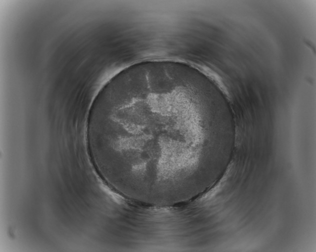 X0000096451231200801311443