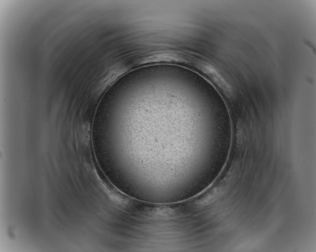 X0000096451233200801311443