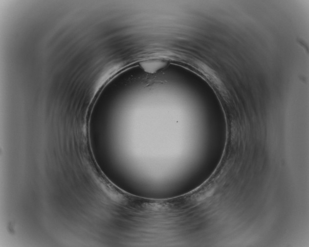 X0000096451234200801311443