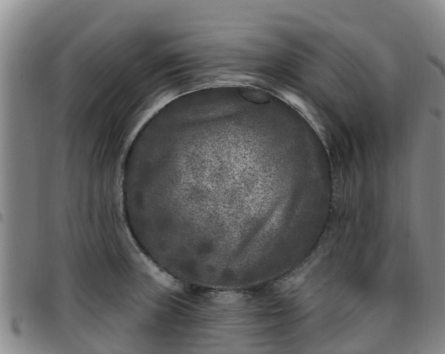 X0000096451235200801311443