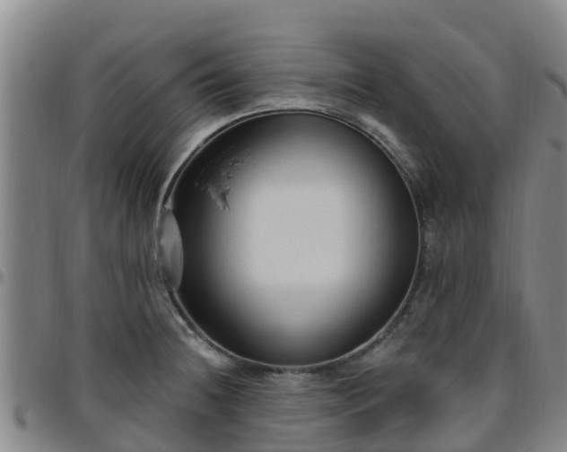 X0000096451236200801311443