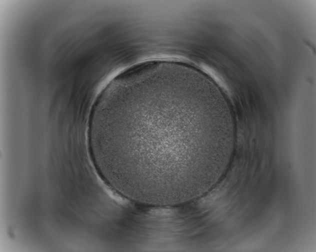 X0000096451237200801311443
