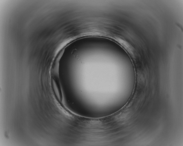 X0000096451238200801311443