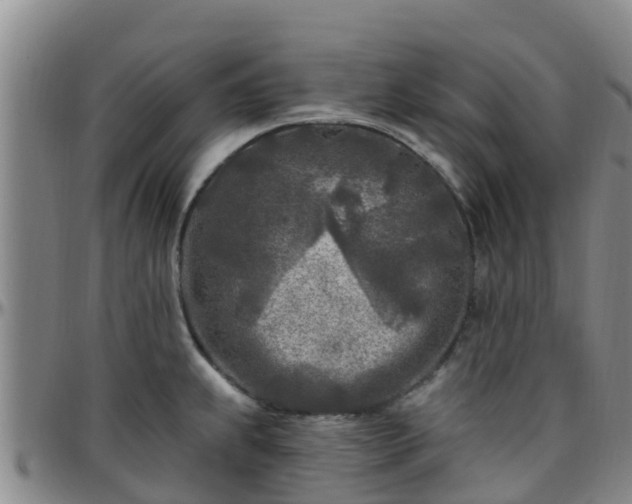 X0000096451239200801311443
