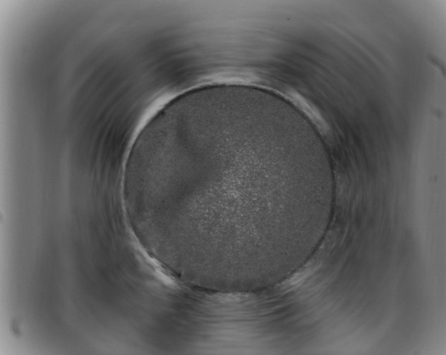 X0000096451240200801311443