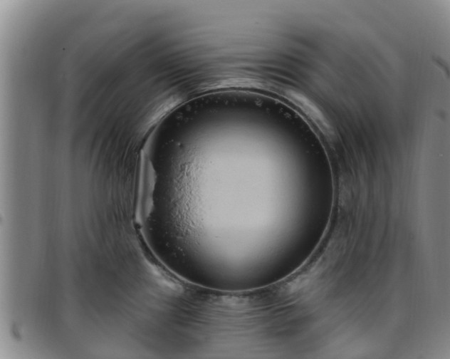 X0000096451241200801311443