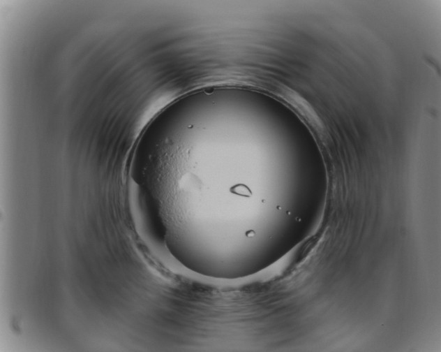 X0000096451242200801311443