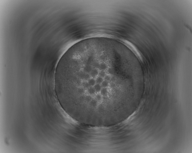X0000096451244200801311443