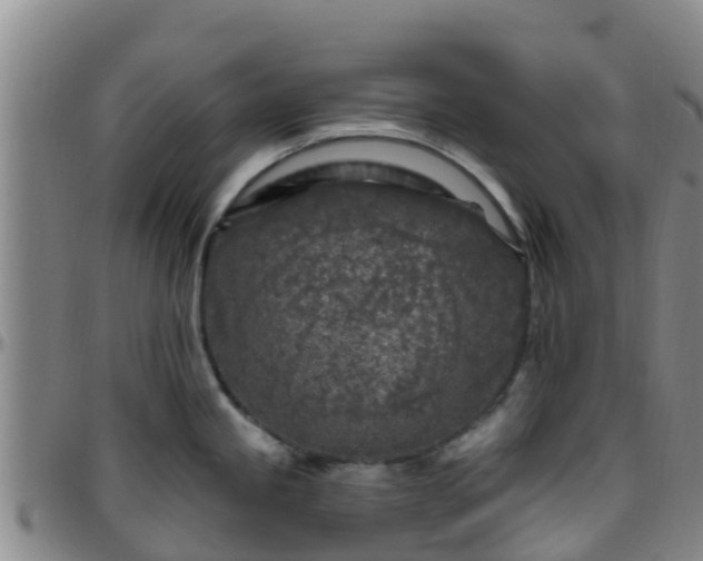 X0000096451245200801311443