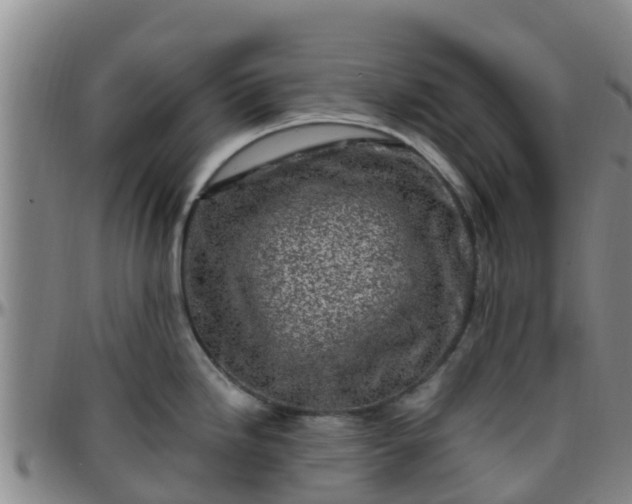 X0000096451246200801311443