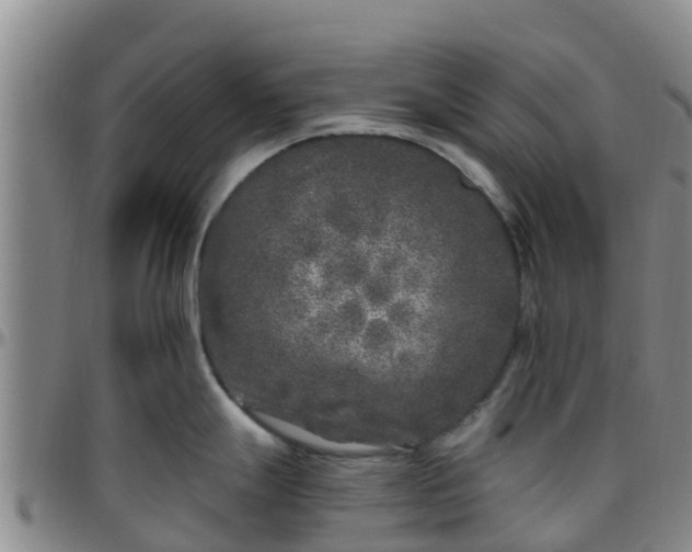 X0000096451247200801311443