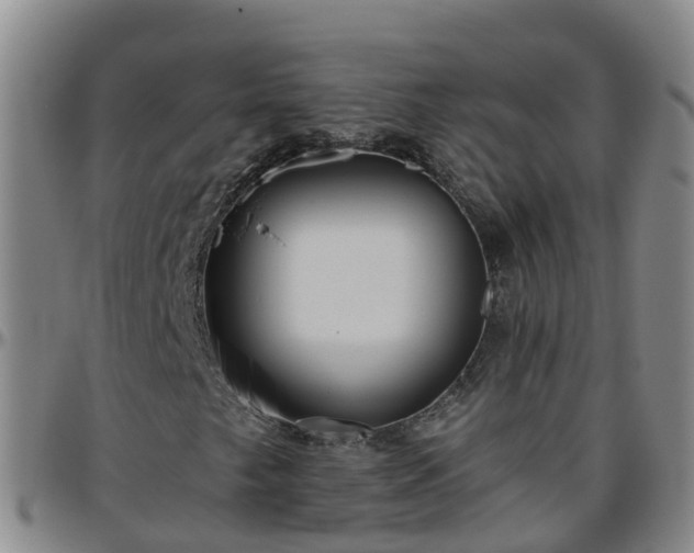 X0000096451249200801311443