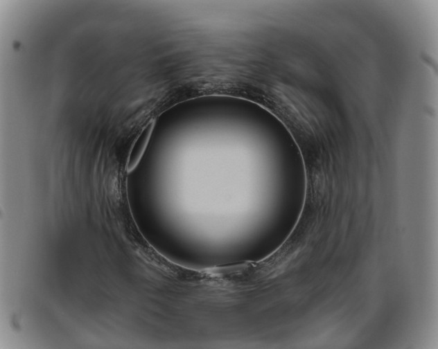 X0000096451250200801311443