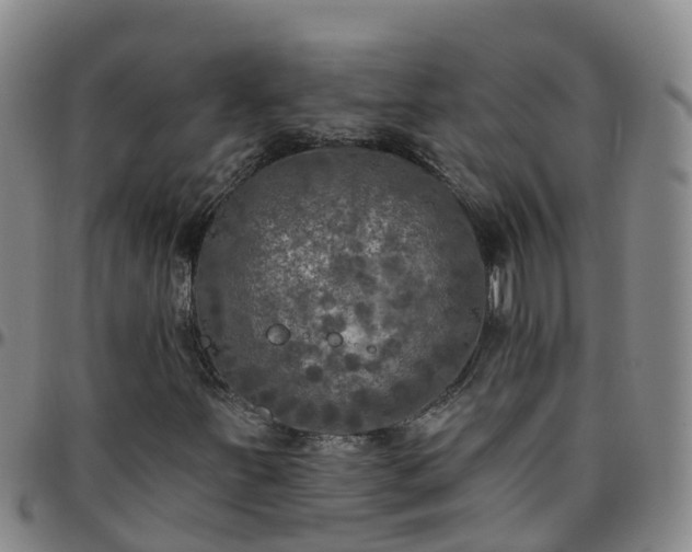 X0000096451251200801311443