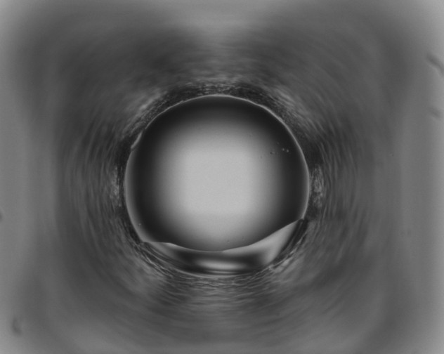 X0000096451252200801311443