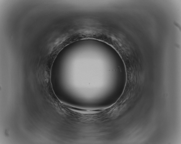 X0000096451253200801311443