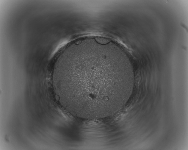 X0000096451255200801311443