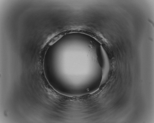 X0000096451256200801311443