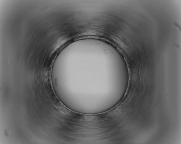 X0000096451258200801311443