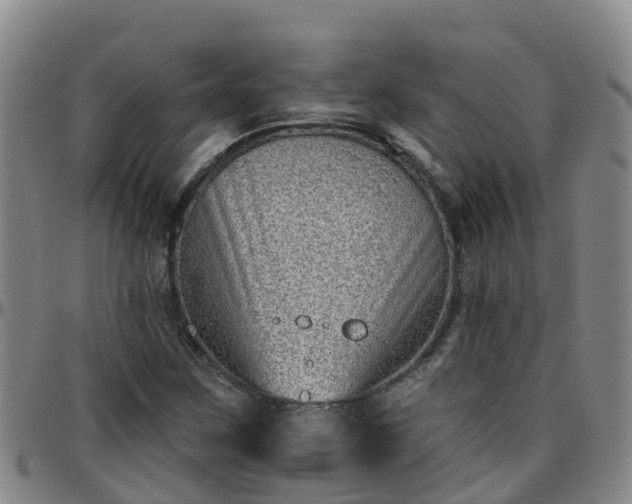 X0000096451259200801311443