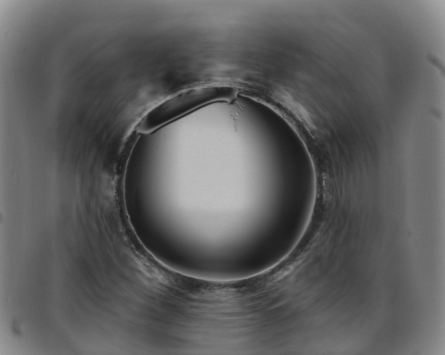 X0000096451260200801311443
