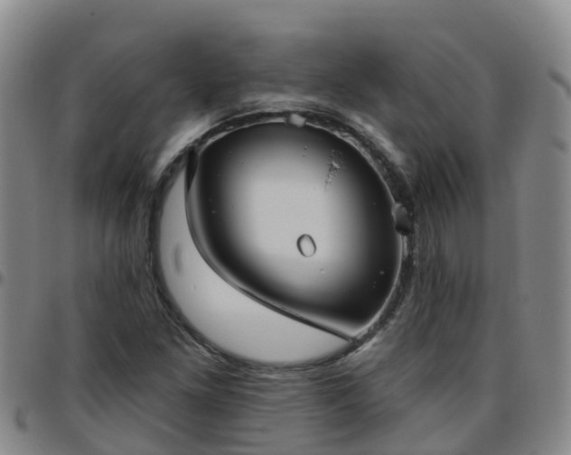 X0000096451261200801311443