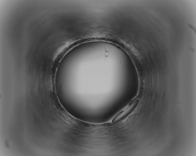 X0000096451262200801311443