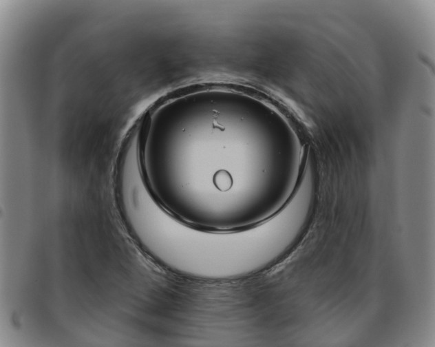 X0000096451264200801311443