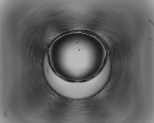 X0000096451265200801311443