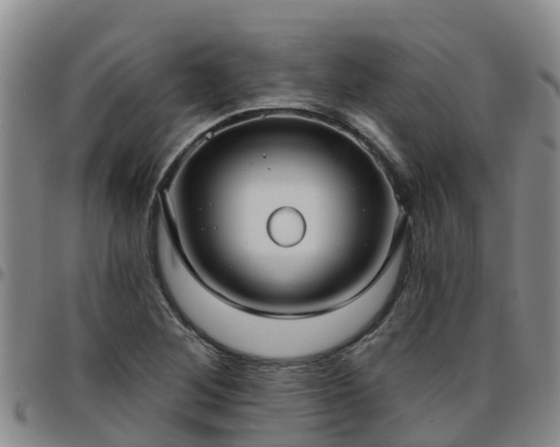 X0000096451268200801311443